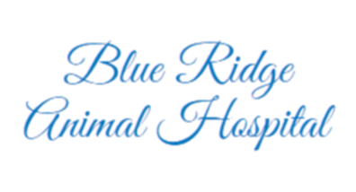 Blue Ridge Animal Hospital-HeaderLogo